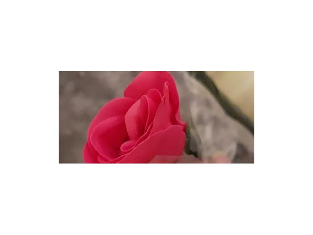 Photo Rose fleur de savon parfumée image 5/5