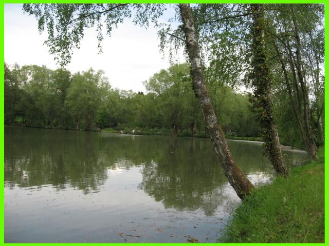 Photo ✅ 2 Etangs privés & naturels - Petit club - Poissons diversifiés image 5/6