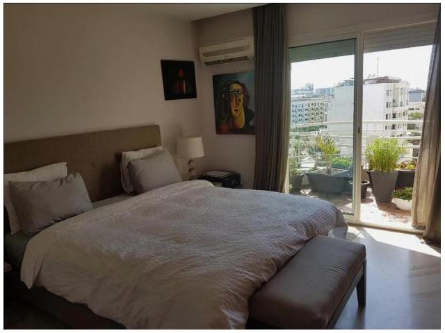 Photo Spacieux  Appartement Vide à Palmier image 5/6