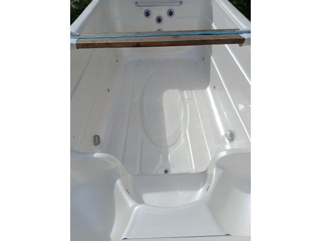 Photo Spas 2 swim de nage 5m66 x2.26 x 1.30 + couverture covana auto faire prix image 5/6