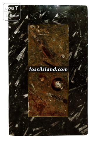 Photo Tables en pierre d Erfoud  riche en fossiles préhistoriques: image 5/6