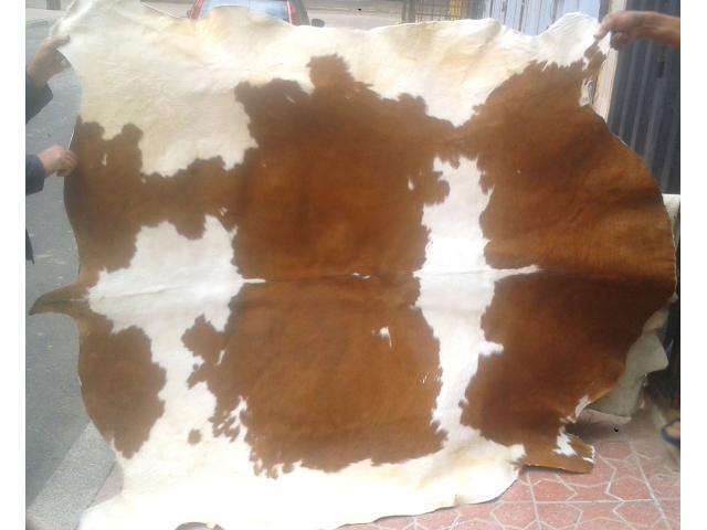 Photo Tapis peau de vache naturelle image 5/6