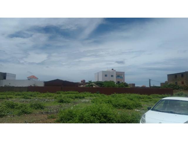 Photo Terrain 450 mètres carrés délibération à Saly image 5/6