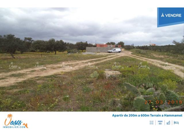 Photo Terrain beni ouail image 5/5