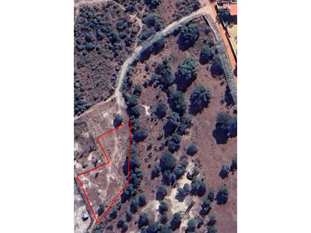 Photo Terrain constructible à Morondava (Madagascar) image 5/5