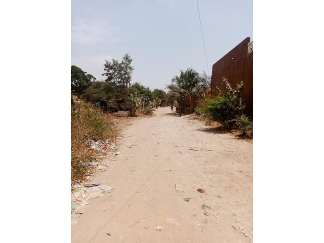 Photo Terrain de 250 mètres carrés à venre à Mbour, Sénégal image 5/5