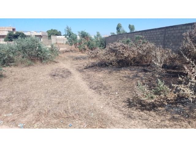 Photo Terrain de 300 mètres carrés à vendre à Malicounda  Sénégal image 5/5