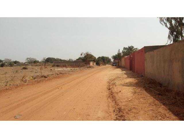 Photo Terrain de 300 mètres carrés à vendre à Nguérigne Sénégal image 5/5