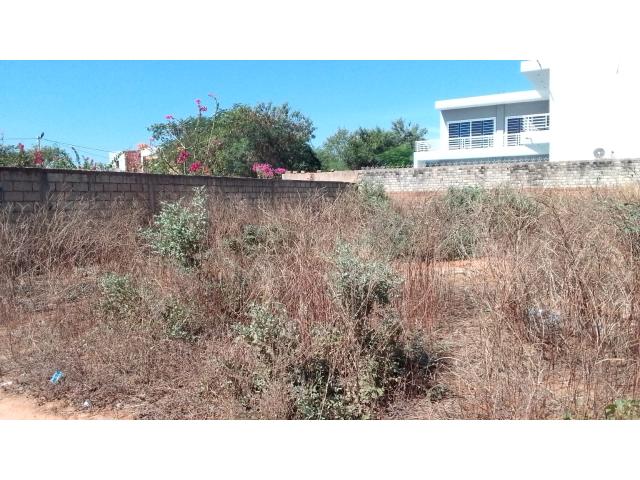 Photo Terrain de 300 mètres carrés à vendre à Somone Sénégal image 5/6
