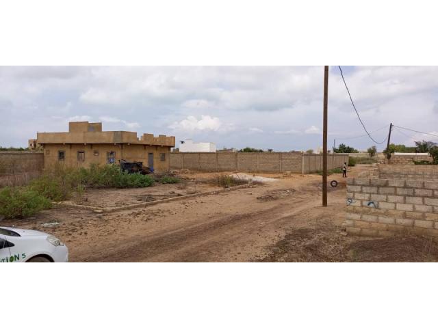 Photo Terrain de 450 mètres carrés délibération à Saly image 5/5