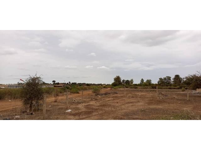Photo Terrain de 800 mètres carrés délibération à Saly image 5/5