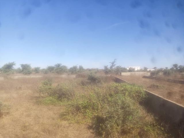 Photo terrain de 900 metres carres a mbour, gandigal image 5/5