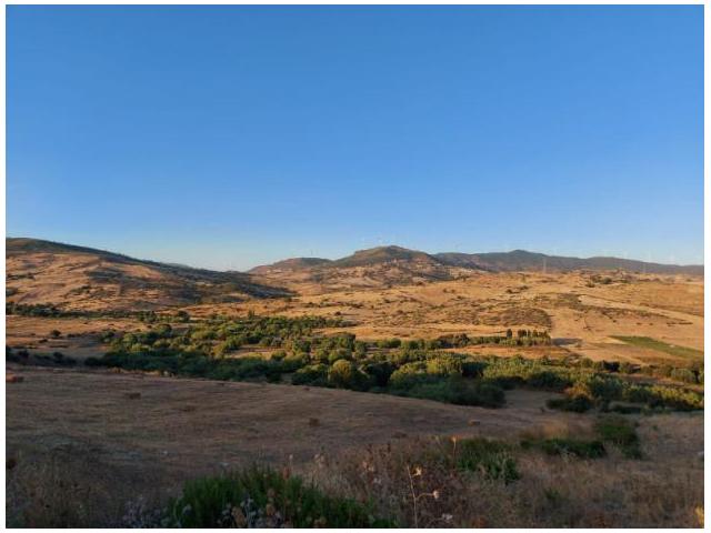 Photo Terrain  En Vente à Melloussa avec Bon Prix image 5/5
