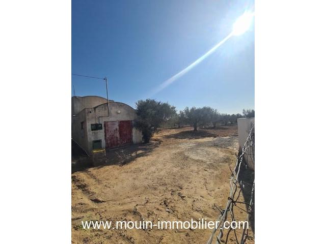 Photo TERRAIN IRAM Hammamet Sud El Bessbassia T1083 image 5/5