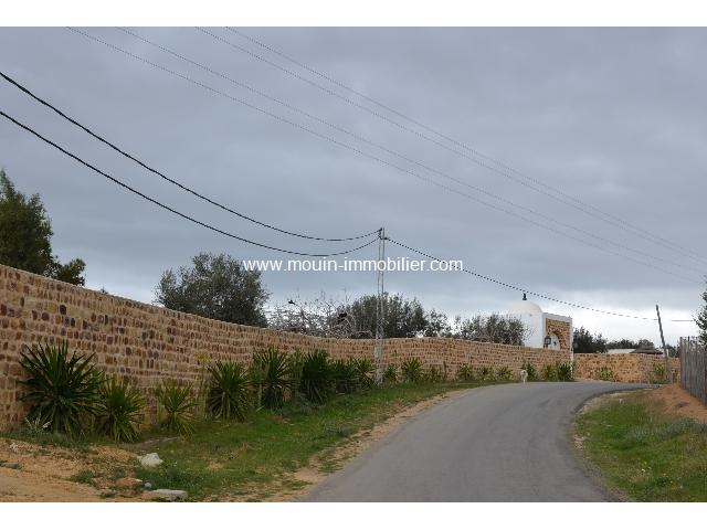 Photo Terrain Jihen T334 Hammamet Latrach image 5/5
