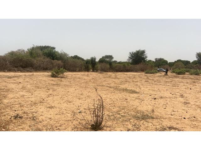 Photo Terrains 225 mètres carrés à vendre à Malicounda, Sénégal image 5/5