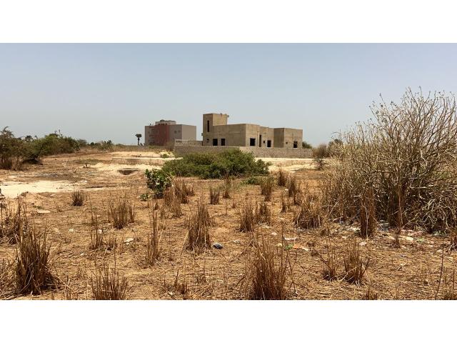 Photo Terrains de 300 mètres carrés à vendre à Saly Sénégal image 5/5