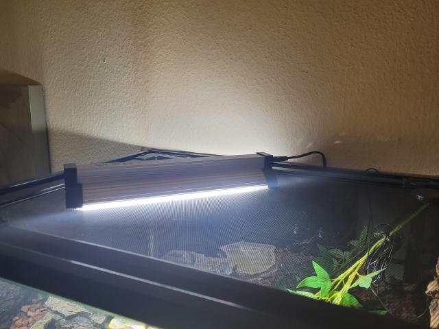 Photo Terrarium et couple  python image 5/6