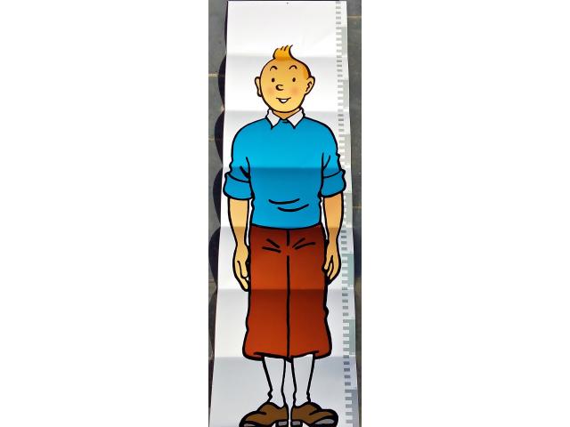 Photo Tintin ✅ Toise pour mesurer la croissance de son enfant  1999 image 5/6