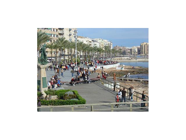 Photo Torrevieja (Alicante Espagne) appartement 300 m plages et centre ville image 5/6