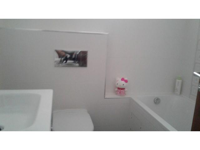 Photo UN SPACIEUX S+3 A VENDRE image 5/6