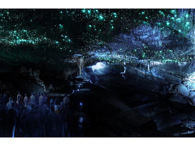 Photo Une Nuit dans la Grotte image 5/5