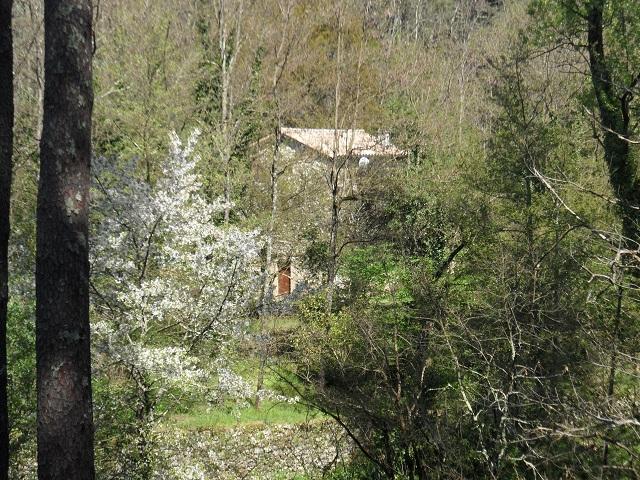 Photo Vacances en Ardèche image 5/5