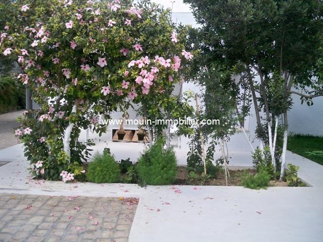 Photo villa bianca AV371 hammamet image 5/6