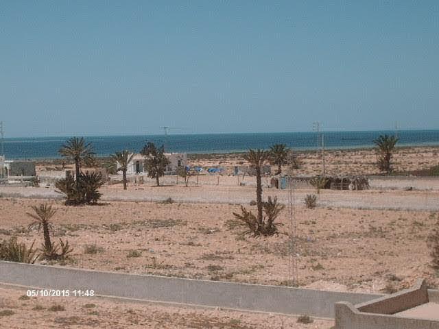 Photo Villa de luxe à Djerba avec Piscine à 300 m de la mer image 5/6