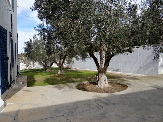 Photo VILLA DINA Hammamet  Zone Craxi  AV290 image 5/6