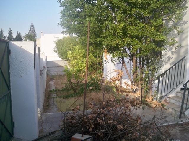 Photo villa hammouda AV827 menzah7 tunis image 5/6