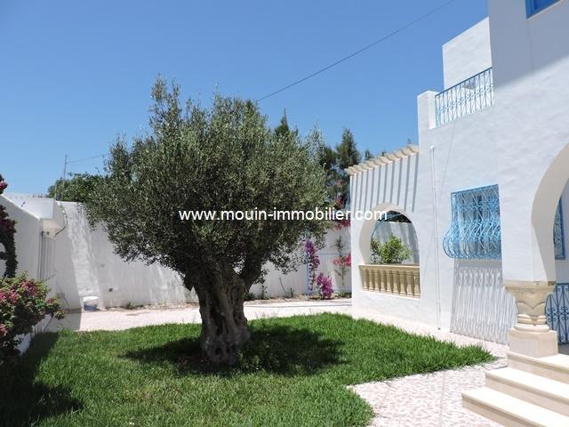 Photo villa rosso AL1373 zone théatre hammamet image 5/6