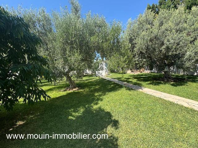 Photo VILLA SUNSHINE Hammamet Nord Mrezka AL3590 image 5/6