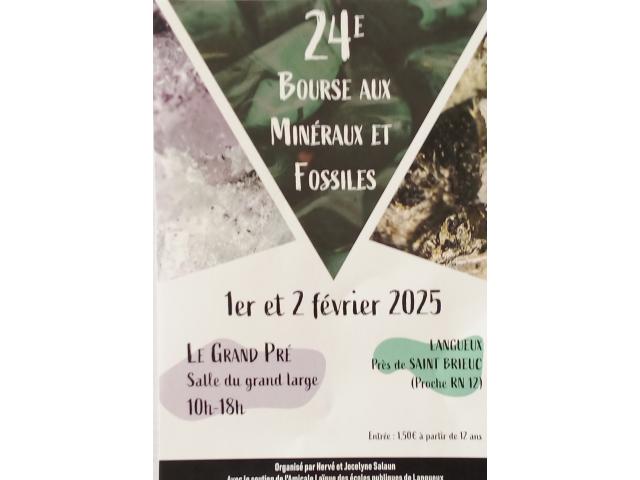Photo 24ème Salon exposition de minéraux et fossiles de Langueux Côtes D’Armor image 6/6