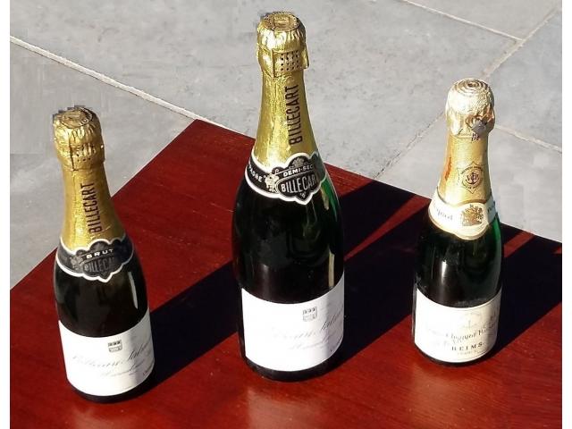 Photo 4 Bouteilles Champagne vides ~ factices et scellées image 6/6