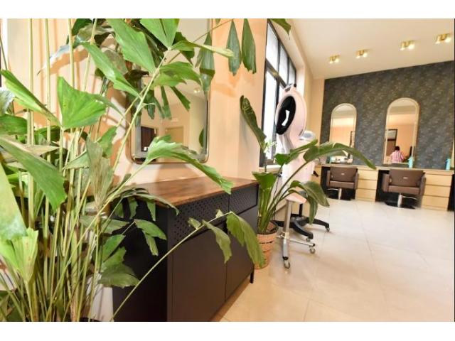 Photo À REMETTRE – Salon de coiffure & esthétique – Bruxelles (Ixelles) image 6/6