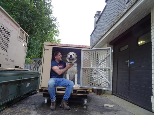 Photo A vendre Box de transport pour chiens US army Climatisé et chauffé image 6/6
