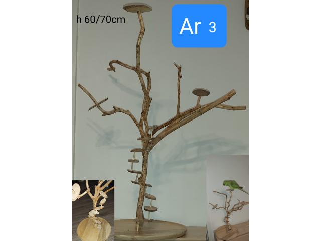 Photo Air de jeux,arbre et perchoir image 6/6