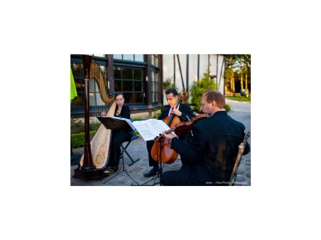 Photo Animations de mariages : Harpe et Soprano image 6/6