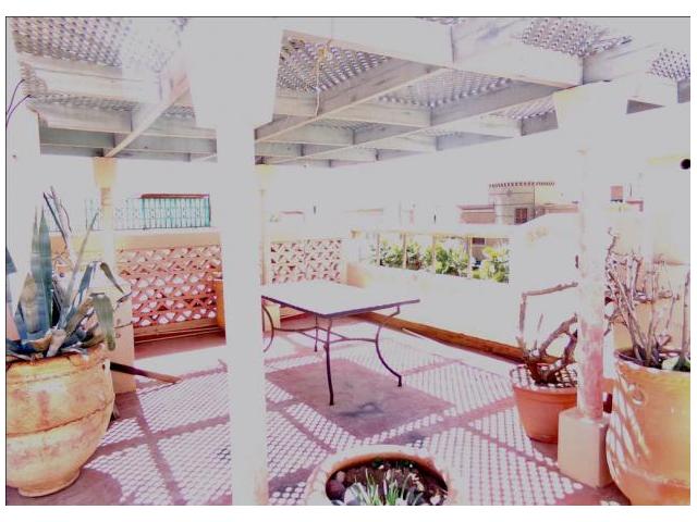 Photo Appart rénové vc belle terrasse à Bab Ighli image 6/6