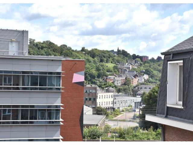 Photo Appartement 1 ch avec balcon à louer à Namur image 6/6
