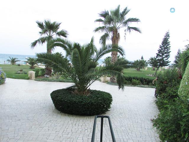 Photo Appartement Cote D'azur Ref  339 image 6/6