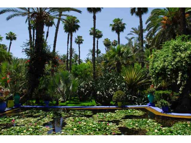 Photo Appartement meublé à louer à proximité Jardin Majorelle image 6/6