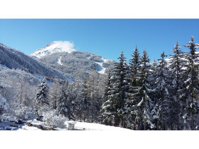 Photo Appt dans chalet 8/13 pers image 6/6