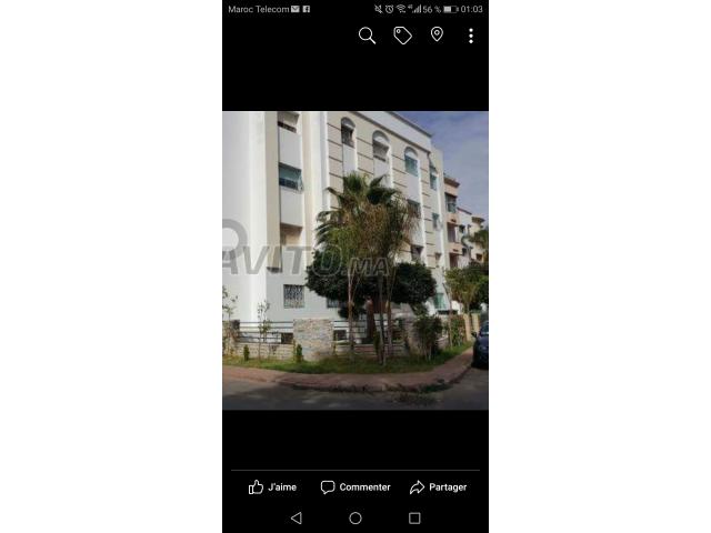 Photo Bel appartement A NE PAS RATER californie image 6/6