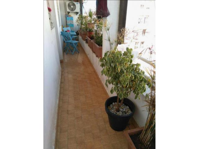Photo BEL Appartement en location de 86M² image 6/6