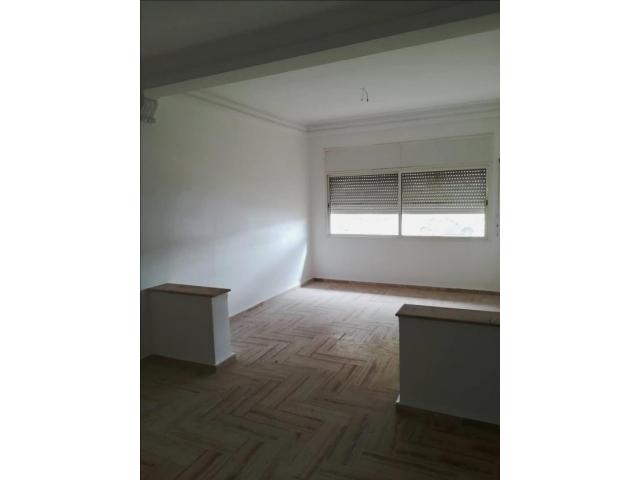 Photo bel appartement vide pour location longue durée image 6/6