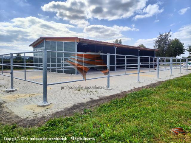 Photo Box pour chevaux - construction d’écurie et Abris pratiques image 6/6