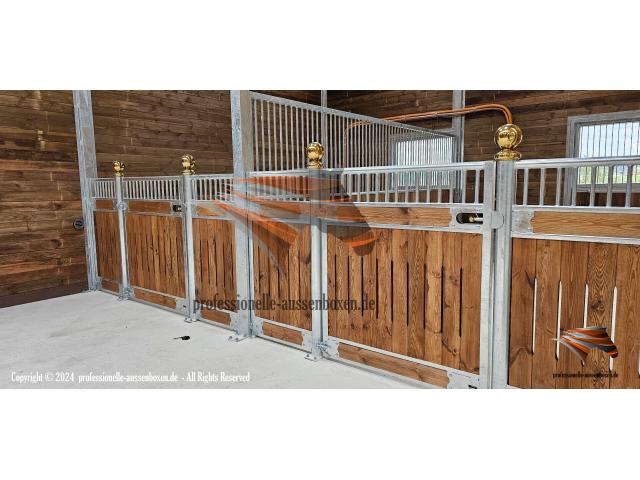 Photo Boxes pour chevaux & Boxes intérieurs - Écurie image 6/6