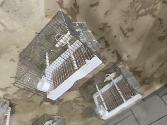 Photo Cage de chant comme neuf image 6/6